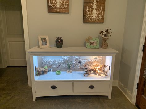 Diy Reptile Enclosure Dresser, Reptile Enclosure In Bedroom, Dresser Reptile Enclosure, Bearded Dragon Enclosure Ideas Dresser, Bearded Dragon Terrarium In Living Room, Bedroom With Reptile Tank, Diy Beardie Enclosure, Diy Bearded Dragon Enclosure Tv Stand, Diy Bearded Dragon Enclosure Dresser