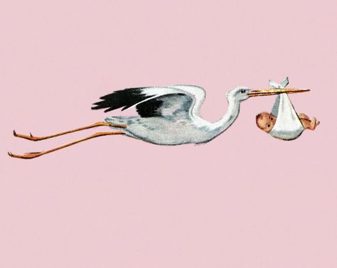 Stork Carrying Baby, Baby Stork, Art And Illustration, Beautiful Wall Art, Cool Posters, Illustration Print, Photographic Prints, Pet Birds, High Res