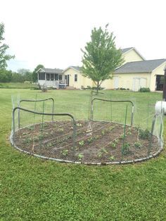 Turned old trampoline frame upside down. Legs are posts for chicken wire fence. Recycled Trampoline, Old Trampoline, Backyard Accessories, Chicken Wire Fence, Pergola Diy, Backyard Trampoline, Best Trampoline, Chicken House, Trampolines