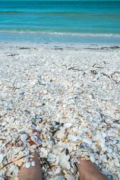 Seashells on Cayo Costa Island Fort Meyers, Florida Vacation Spots, Fort Myers Beach Florida, Peaceful Beach, Cape Coral Florida, Sanibel Island Florida, Beach Pink, Beach Finds, Captiva Island