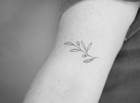 Lily And Olive Branch Tattoo, Russian Olive Tree Tattoo, Olive Branch Line Tattoo, Small Olive Branch Tattoo Simple, Tiny Olive Branch Tattoo, Olive Branch Line Art, Simple Olive Branch Tattoo, Olive Branch Wrap Around Tattoo, Olive Branch Wrist Tattoo