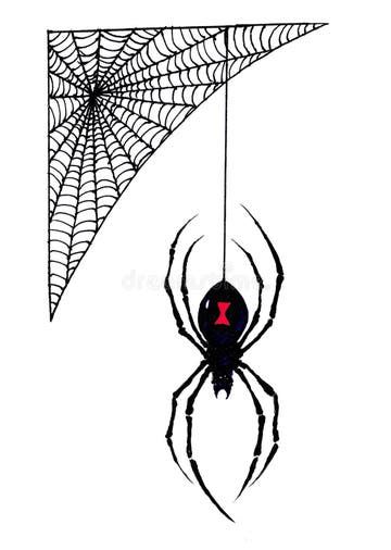 Scary Spider Drawing, Creepy Spider Drawing, Spider Hanging From Web Drawing, Drawing Ideas Spider, Black Widow Spider Drawing, Spider Drawing Sketches, Red Widow Spider, Spider Draw, Spider Sketch