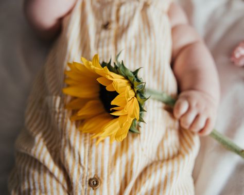 Sunflower amd flower baby shoot for baby photoshoot Sunflower Family Pictures Newborn, Baby Spring Photoshoot, Sunflower 6 Month Photoshoot, Sunflower Newborn Pictures, Toddler Sunflower Photoshoot, Newborn Sunflower Photoshoot, Baby Spring, Marley And Me, Sunflower Photo