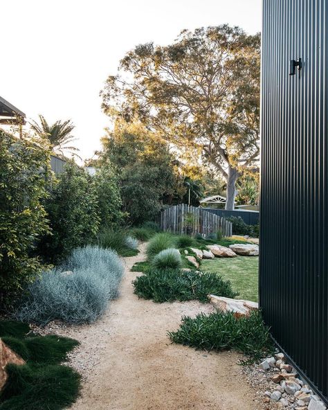 Australian Garden Design, Australian Native Garden, Contemporary Garden Design, Australian Garden, Coastal Gardens, Have Inspiration, Backyard Inspo, Native Garden, Garden Landscape Design