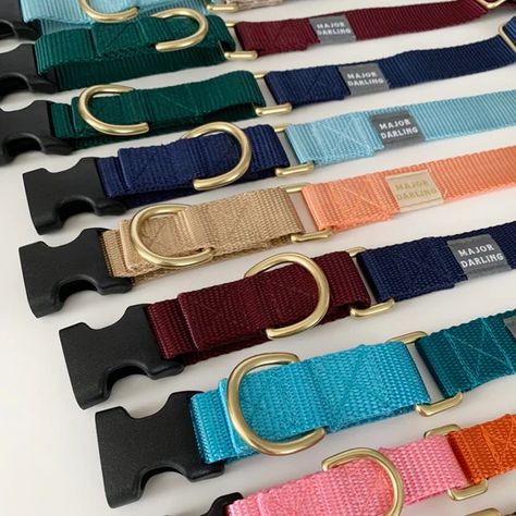 Martingale Collars – Major Darling Martingale Collar, Dog Neck, Ice Blue, Austin Tx, Custom Color, Pink And Orange, Buckle, Personalized Items, Collar