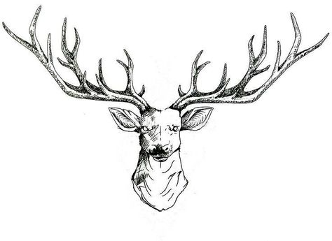 Skull Antler Tattoo, Stag Skull Tattoo, Stag Head Tattoo, Antler Art Drawing, Skull Tattoo Sleeve, Stag Tattoo Design, Antler Tattoos, Deer Head Tattoo, Elk Tattoo