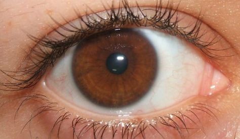 People With Brown Eyes, Brown Eyes Aesthetic, Summer Eyes, Skin Undertones, Seasonal Color Analysis, Eye Pattern, Eye Photography, Aesthetic Eyes, Human Eye