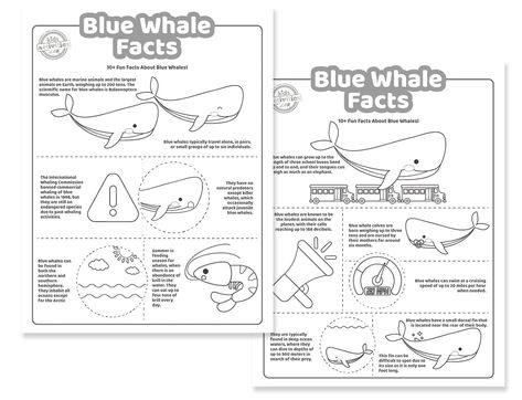 Fun Blue Whale Facts Kids Activities Blog Whale Facts For Kids, Blue Whale Facts, Big Blue Whale, Cycle Drawing, Dolphin Facts, Whale Facts, Whale Coloring Pages, Fun Facts For Kids, American Heritage Girls