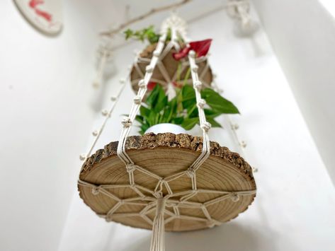 Vintage Macrame Double Plant Hanger Macrame Shelf Hanger, Hanging Shelf Diy, Macrame Double Plant Hanger, Macrame Shelves, Macrame Hangers, House Gardening, Wood Log Crafts, Diy Macramé, Macrame Hanging Shelf