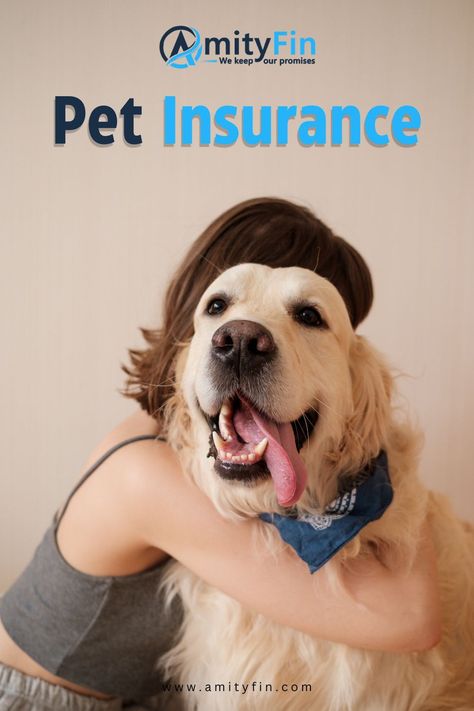 Pet insurance give you proper safety Pet Insurance, Digital Marketing Agency, Life Insurance, Marketing Agency, Insurance, Digital Marketing, Marketing, Pet, Quick Saves