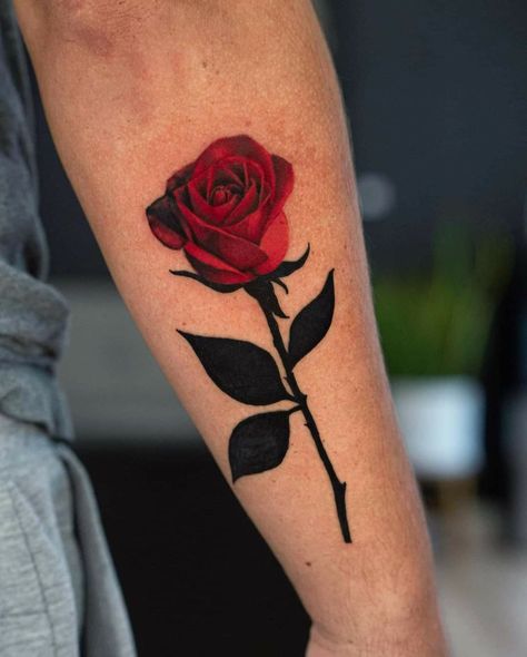 Rose tattoo color Realistic Red Rose Tattoo, Rose Tattoo Color, Ink Tattoo Design, Cute Halloween Tattoos, Watercolor Tattoo Ideas, Red Tattoo Ideas, Rose Tattoo Forearm, Red Ink Tattoo, Harley Quinn Tattoo