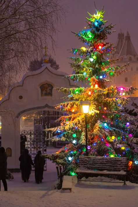 Catholic Christmas Aesthetic, Slavic Christmas, Orthodox Christmas, Catholic Christmas, New Year 2023, Russian Orthodox, Good Deeds, Christmas Aesthetic, Cozy Christmas