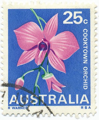 Cooktown Orchid, Flowers Australia, Australian Flowers, Stamp Catalogue, Old Stamps, Rare Stamps, Chat Board, Post Stamp, Flower Stamp