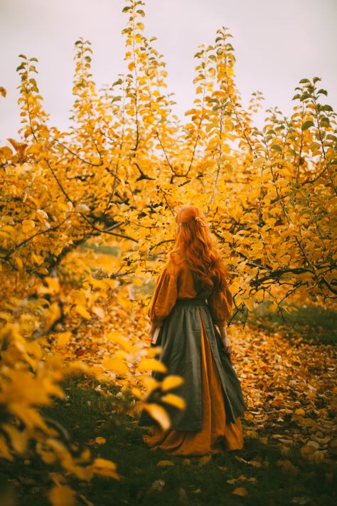 An Apple Orchard in Late Autumn - A Clothes Horse Season Fairies, Fairytale Photography, Autumn Magic, Late Autumn, Fantasy Photography, Apple Orchard, Harvest Season, Cottagecore Aesthetic, The Harvest