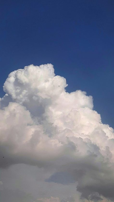 cotton candy cloud sky blue sky Candy Clouds, Cotton Candy Clouds, Blue Clouds, Cotton Candy, Sky Blue, Blue Sky, Candy, Blue, Candy Floss