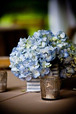 Hydrangeas wrapped in seersucker Hydrangea Centerpiece Diy, Diy Hydrangea, Centerpieces Simple, Hydrangea Centerpieces, Client Meeting, Bride Diy, Hydrangea Centerpiece, Nautical Wedding Theme, Hydrangea Bouquet