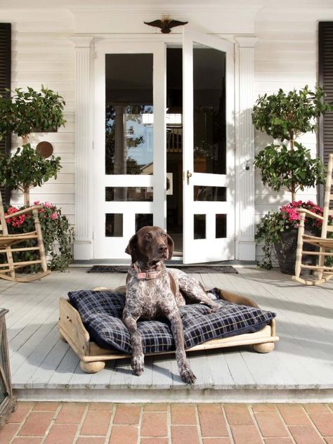 Patio Ideas Furniture, Dog Porch, Country Front Porches, Front Porch Decorating Ideas, Front Porch Furniture, Wood Dog Bed, Porch Floor, Porch Decorating Ideas, Outdoor Patio Ideas