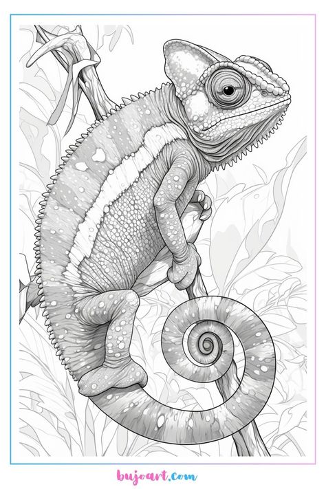 chameleon coloring page – BUJO ART Colouring Pages For Adults Animals, Chameleon Sketch, Chameleon Coloring Page, Chameleon Drawing, Elephant Art Drawing, Elephant Sketch, Bujo Art, Animal Line Drawings, Chameleon Art