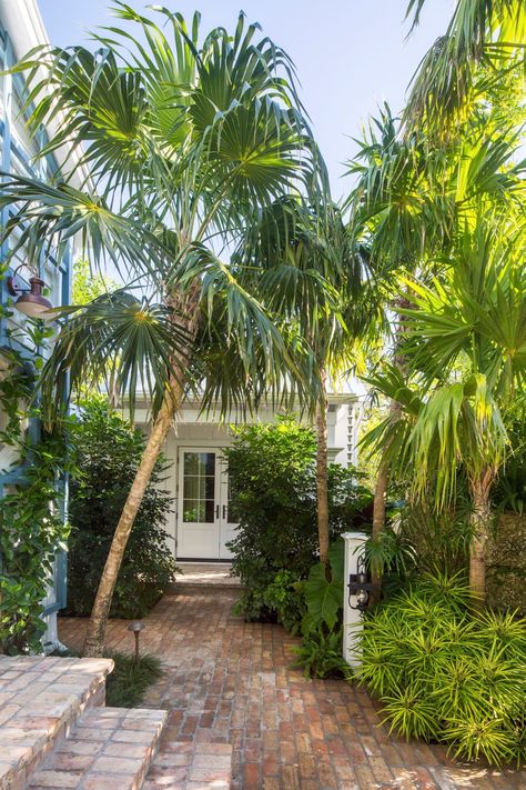 Green thatch palms provide shade, their silhouettes echoed by the understory, where the low, bushy shrub Osmoxylon lineare adds texture. Landscape Architecture Magazine, Modern Garden Design, Victorian Cottage, Garden Shrubs, Modern Landscape, Landscape Design Plans, Garden Architecture, Focal Points, Beach Gardens