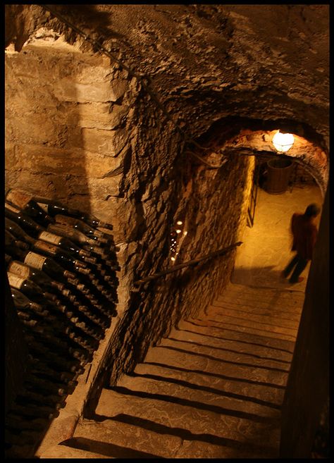 Underground Wine Cellar, Wine Cellar Ideas, Underground Cellar, Cellar Ideas, Wine Cellar Basement, Wine Cave, Home Wine Cellars, Root Cellar, Wine Cellar Design