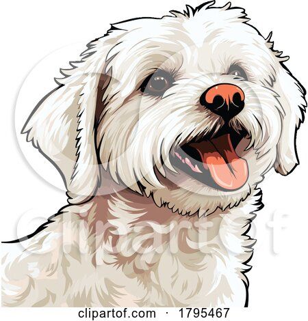 https://www.clipartof.com/portfolio/stockillustrations/illustration/maltese-1795467.html Maltese Drawing, Engraving Printing, Clip Art Pictures, Maltese Dog, Canvas Drawing, Free Cartoons, Maltese Dogs, Dog Canvas, Dog Illustration