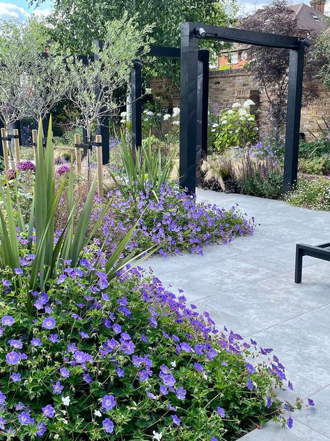 Winchmore Hill Contemporary Garden Design — Hampstead Garden Design | Garden Designer North London Geometric Garden, Contemporary Garden Design, Hillside Garden, London Garden, Patio Garden Design, Modern Garden Design, Garden Designer, Garden Architecture, Family Garden