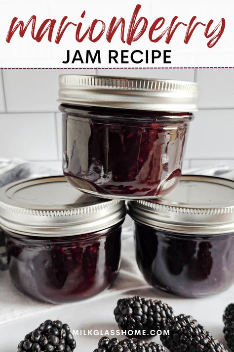 Delight your taste buds with the exquisite flavor of homemade Marionberry Jam! :grapes::honey_pot: Made from juicy and plump marionberries, this sweet and tangy jam is a must-try for any berry lover. Learn how to make this delectable treat in just a few simple steps and add it to your breakfast toast, desserts, or pair it with cheese for an unforgettable flavor combination. #MarionberryJam #HomemadeJam #JamRecipes #BreakfastIdeas Marionberry Jam Recipe, Marion Berry, Marionberry Jam, Low Sugar Jam, Jam Making, Homemade Jams, Berry Jam, Blackberry Jam, Table Food