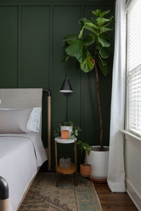 Deep Green Feature Wall, Accent Dark Green Wall, Green Bedroom With Black Accents, Deep Green Room Bedrooms, Natural Green Wall Paint, Matte Green Wall, Dark Green Wall With Plants, Dark Forest Green Accent Wall, Fresh Green Bedroom