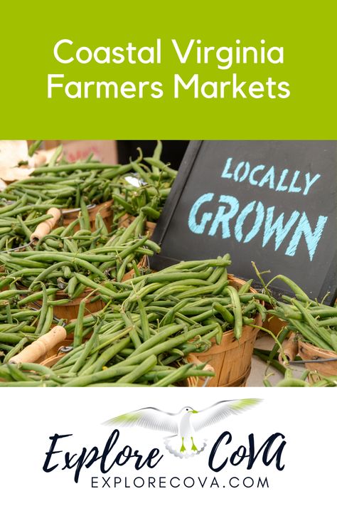 Check out our list of Coastal Virginia Farmers Markets near you to discover something new and support local! Beach Farmers Market, Things To Do In Virginia, Coastal Virginia, Harvest Market, Bay Breeze, Lifestyle Blog Design, Places To Explore, Farm Market, Farmers Markets