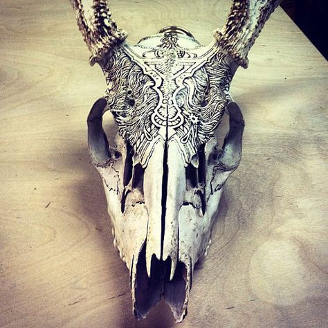 Deer Skull Pyrography Skull Pyrography, Peter Draws, Goat Bone, Decorated Skulls, Painted Deer Skulls, Painted Animal Skulls, Euro Mounts, Earth Crafts, Carved Skulls