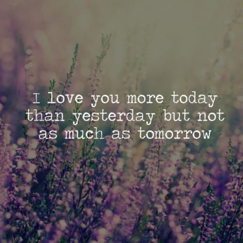 I love you more today than yesterday but not as much as tomorrow <3 Losing Friends Quotes, Lost Quotes, Retirement Quotes, Quotes Happiness, Quotes Friendship, Love Quotes In Hindi, Happiness Quotes, Losing Friends, Quotes In Hindi