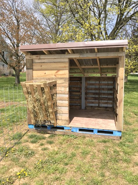 Pallet Pens For Goats, Animal Shed Ideas, Cow Pens Ideas, Cheap Hay Storage Ideas, Goats House Ideas, Goat Hut Ideas, Mini Goat Shelter, Small Goat Pen, Small Goat Pen Ideas