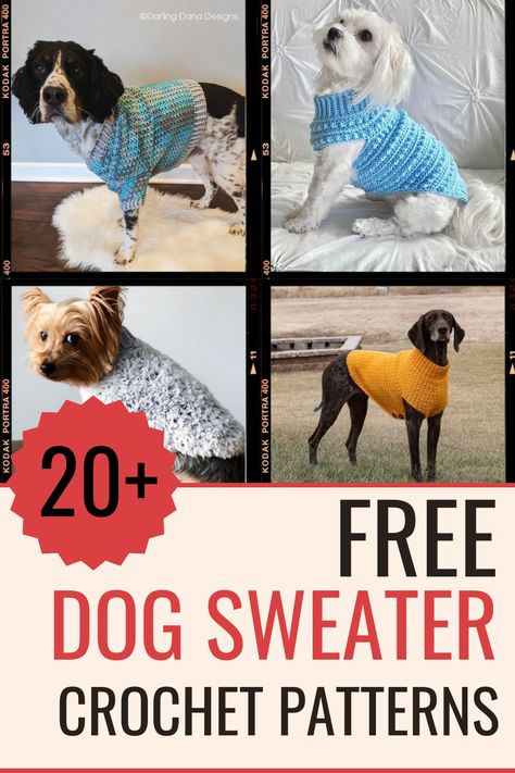 free crochet patterns for dog sweaters Small Dog Sweater Crochet Pattern, Crochet Dog Clothes Free Pattern Easy, Crochet Pet Sweaters Dog Coats, Crochet Patterns For Dog Sweaters, Free Dog Sweater Crochet Patterns, Crochet Dog Shirt Free Pattern, Crochet Dog Outfits Free Pattern, Crochet Puppy Pattern Free Dog Sweaters, Crochet Dog Sweater Patterns