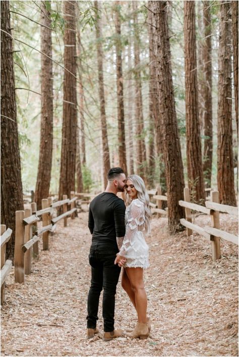 Sequoia National Park Photography Couple, Couples In The Woods, Redwoods Couples Shoot, Pine Tree Couple Photoshoot, Engagement Photos Oak Trees, Forest Engagement Pictures, Redwoods Engagement Photos, Redwood Engagement Photos, Engagement Photos Trees