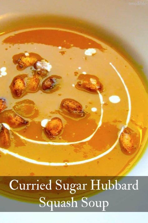 Hubbard Squash Soup Recipe, Hubbard Squash Soup, Hubbard Squash Recipes, Hubbard Squash, Creamy Soups, Squash Puree, Squash Soup Recipe, Pureed Soup, Fall Foods