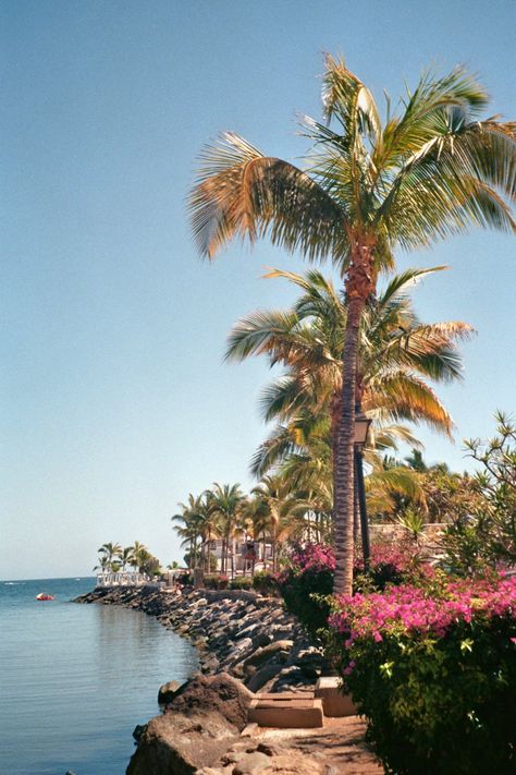 #grancanaria #canaryislands #analog #spain #travel #travelguide #erasmus #student #europe #aesthetic #summer #beach #sun #ocean #nature #lifestyle #palmtrees Gran Canaria Aesthetic, Gran Canaria Beach, Europe Aesthetic Summer, Canarian Islands, Aesthetic Summer Beach, Nature Lifestyle, Ocean Nature, Europe Aesthetic, Life Abroad