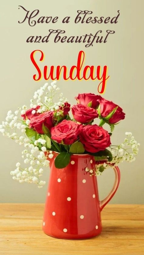 Sunday Morning Wishes Happy, Sunday Morning Greetings, Blessed Sunday Images, Palm Sunday Images, Sunday Blessings Inspiration, Good Morning Sunday Blessings, Morning Sunday Images, Easter Sunday Images, Sunday Morning Images