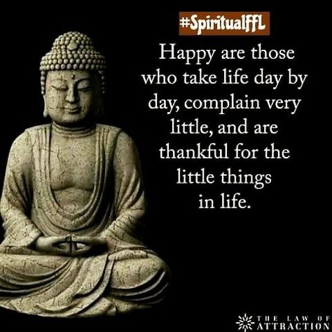 Connecting Consciousness, Buddha Thoughts, Buddha Quotes Life, Life Day, Buddha Quotes Inspirational, Buddhism Quote, Buddhist Quotes, Buddha Teachings, Buddha Quote