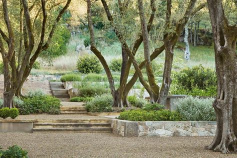 Patina Farm, Gravel Landscaping, Pathway Landscaping, Dry Garden, Gravel Garden, Italian Garden, Mediterranean Garden, Garden Pathway, Front Garden