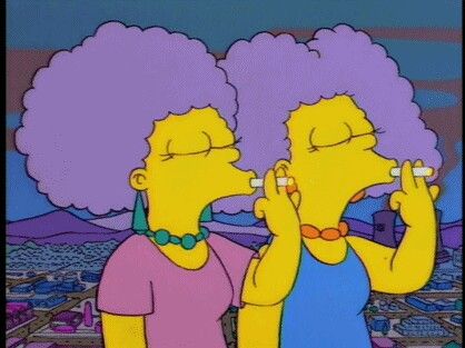 Selma And Patty The Simpsons, Patty And Selma, Famous Twins, Simpsons Characters, Simpsons Art, Flower Pot Crafts, The Simpson, Cartoon Profile Pictures, Famous Cartoons