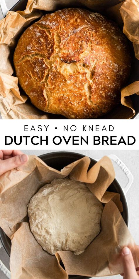 Dutch Oven Bread Recipe, Glutenfree Bread, Pantry Meals, Parmesan Bread, Oven Bread, Rosemary Bread, Dutch Oven Bread, Magically Delicious, Knead Bread Recipe