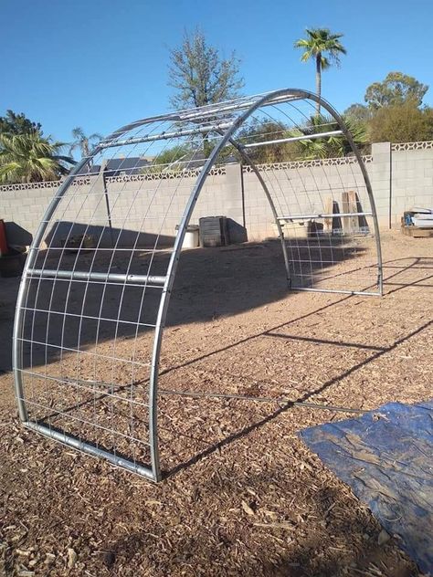 Greenhouse From Trampoline Frame, Trampoline Archway, Trampoline Arch, Trampoline Repurpose Ideas, Trampoline Frame Repurpose, Trampoline Trellis, Trampoline Garden Ideas, Old Trampoline Frame Ideas, Trampoline Upcycle