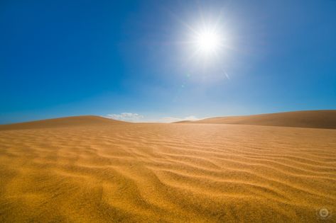 Desert Pictures, Desert Background, Free Backgrounds, Science Activity, Desktop Wallpaper Art, Black Phone Wallpaper, Landscape Background, Ap Art, Science Activities