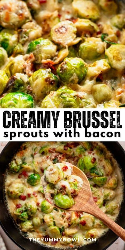 Enjoy this simple creamy Brussels sprouts with bacon. It's creamy, bubbly goodness with lots of green veggies. Get ready to win over everyone, whether they love veggies or need a little convincing! Brussel Sprout Side Dish, Creamy Brussel Sprouts, Garlic Alfredo Sauce, Brussel Sprouts Recipes Easy, Brussel Sprouts With Bacon, Creamy Garlic Sauce, Bacon Brussel Sprouts, Bacon And Cheese, Creamy Parmesan