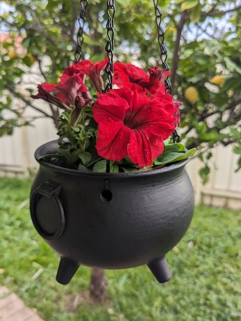 Large Hanging Cauldron Planter Witchy Decor Succulent Pot - Etsy Hanging Cauldron, Cauldron Planter, Wiccan Pentagram, Witchy Garden, Goth Garden, Gothic Garden, Gardening Gift, Logo Name, Planter Pots Outdoor