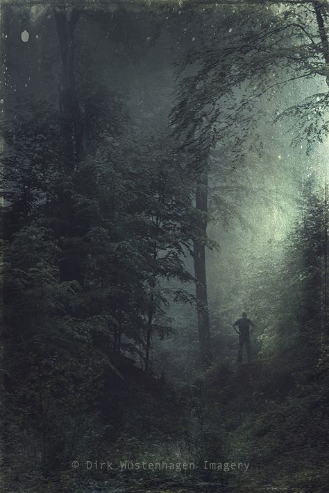 Dense Forest, Last Resort, Still Photography, Forest Photography, Man Standing, New Blog Post, December 13, Landscape Trees, Fine Art Photography