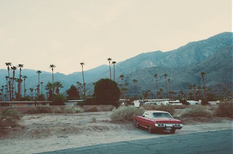 Desert Dream, Image Film, The Lone Ranger, Desert Vibes, California Dreamin', Wildfox Couture, California Dreaming, Vintage Car, Palm Springs