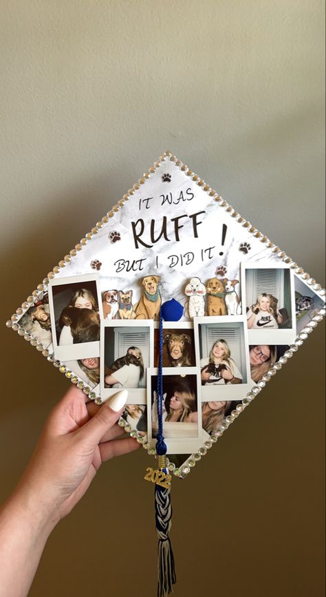 Graduation Cap Designs Dog Mom, Grad Cap Ideas Dog, Pet Graduation Cap, I Did It For My Dog Graduation Cap, Vet Cap Decoration Graduation, Dog Mom Graduation Cap, Future Veterinarian Graduation Cap, Vet Assistant Graduation Cap Ideas, Graduation Cap Designs Dog