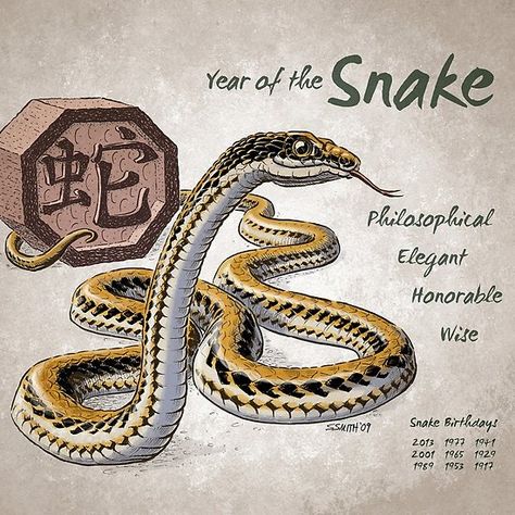 Year of the Snake Calendar (white) Year Of The Snake Tattoo, Snake Chinese Zodiac, Dragon Koi Tattoo Design, Chinese Zodiac Tattoo, Snake Zodiac, Jackie Chan Adventures, Chinese Horoscope, Horoscope Tattoos, Zodiac Cards