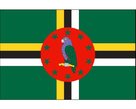 Dominica Flag Dominican Girl, Dominican Culture, Dominica Flag, Saint Vincent And The Grenadines, National Flags, World Thinking Day, Mini Flags, Culture Shock, World Geography